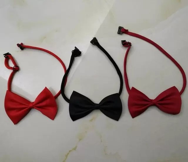 Man Groom Groom Groom Red Suit Collar Tie Shirt Wedding Wedding Yingren Student Choir Perform Bow Tie-Taobao