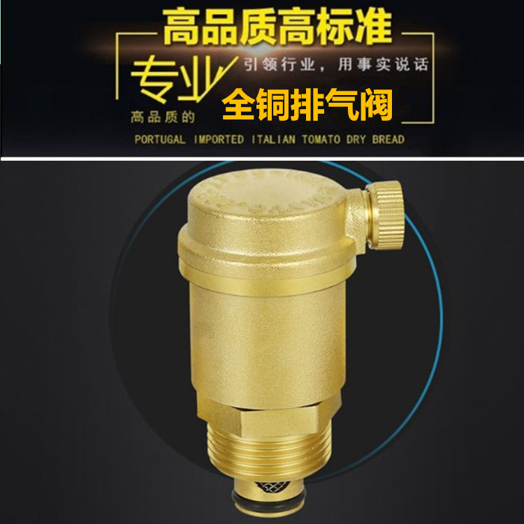 All copper automatic exhaust valve heating exhaust valve pipe discharge valve 4 minutes 6 inch DN15DN20DN25