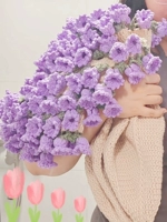 Сиреневый маленький набор материалов, орхидея, 85см