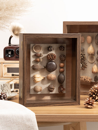 Three-Dimensional Hollow Specimen Photo Frame Dried Flower DIY Display Frame Insect Plant Shell Picture Frame Medal Badge Storage Box