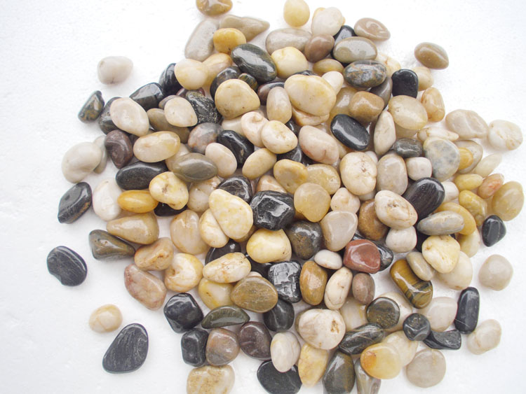 Turtle-cylinder fish tank decorated stone water ethnic made of stone rock bottom sandstone pebble stone cobblestone polychrome stone super nice