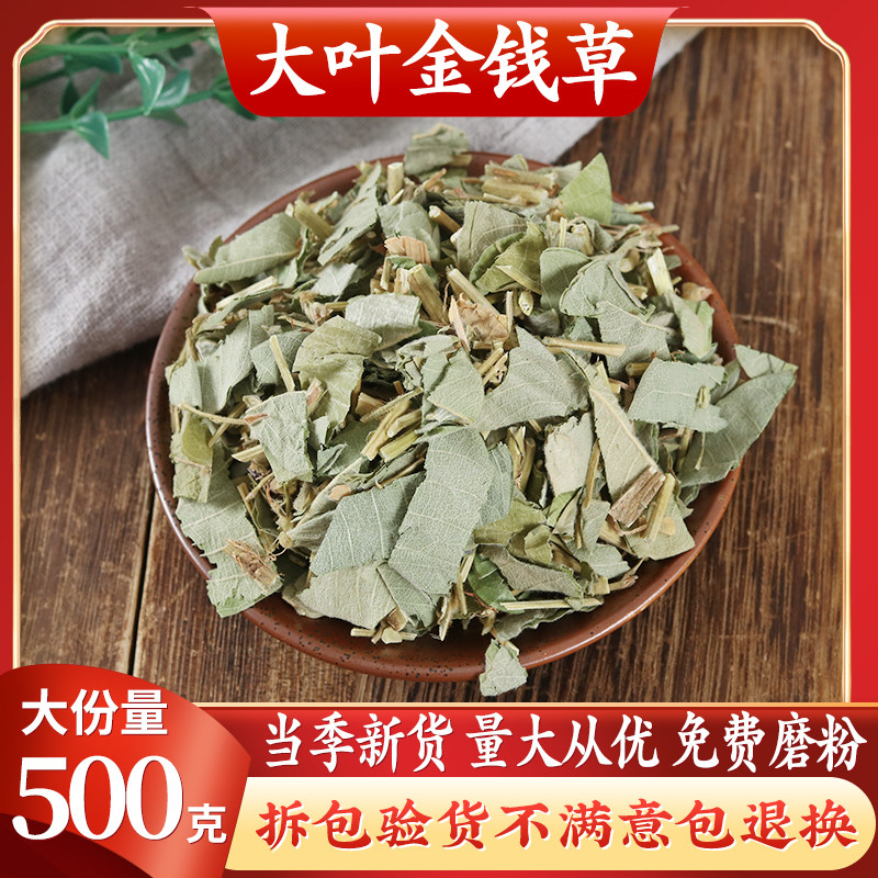 Chinese herbal medicine gold money grass Sichuan wild large leaf gold money grass Non-wide gold Qianqian grass 500 gr