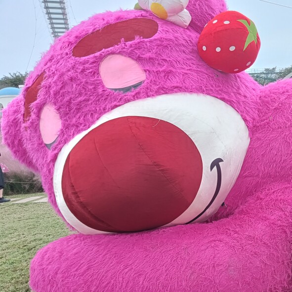 步步包赢