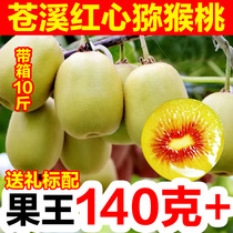 Sichuan Guangyuan Cangxi red heart kiwi fruit fresh 9 10 large fruit extra large fruit gift box mud whole box