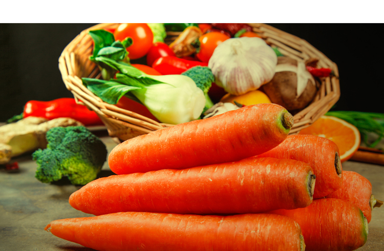 Đôi chó chiến đấu thức ăn chó Demu sói xanh đen lưng chó chó cảnh sát chó đặc biệt 20kg chó con chó trưởng thành trong chó lớn nói chung 40 kg - Chó Staples thức an cho chó bao 20kg