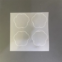 10 серебряных внутренних щитов