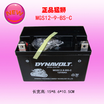 Lions Motorcycle Battery Cell 12V YTX9-BS GW250 Yellow Dragon 600 Light Yang 250 Benali Battery