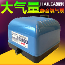 Haili V-60 oxygen pump Silent strong oxygen pump Oxygen pump oxygen pump Oxygen pump Oxygen pump Oxygen pump Oxygen machine Oxygen machine Oxygen machine Oxygen machine Oxygen machine Oxygen machine Oxygen machine oxygen machine oxygen machine oxygen machine oxygen machine oxygen machine oxygen machine oxygen machine oxygen machine oxygen machine oxygen