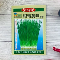 Серебряный синий вкусный зеленый лук 10 граммов оригинального сезона Four Seasons лук