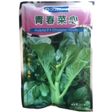 Четырехновые семена овощных овощей Весна, осень и зима, четыре сезона, посеянные семена Гуандун Зеленых овощ