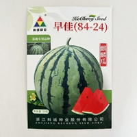 Ранняя Jiajia 8424 Kirin Abarmelon 50 Mid -Cooked Single Fruit 5 кг или более