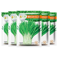 10 граммов шпината белых стержней листьев ивы, 5 упаковок