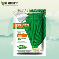 10 граммов зеленого лука за четыре сезона