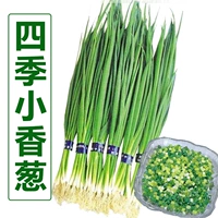 500 граммов небольшого зеленого лука (доступны на больших площадях)