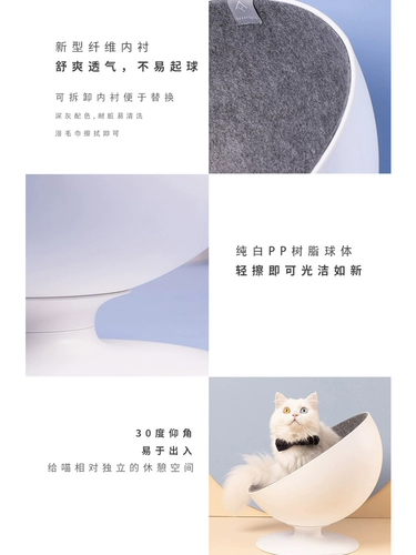 Хвостовая жизнь кошка босс сеть красная кошка Западная половина кошачьего дома Лето Liangwo Space Course