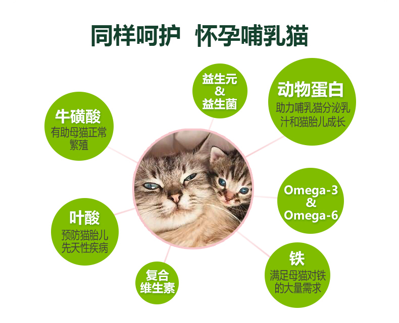 Tinh khiết 皓 粮 粮 幼 幼 猫 猫 猫 猫 猫 猫 猫 猫 猫 猫 猫 猫 - Cat Staples Hạt Whiskas cho mèo con