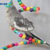 Yêu chim mới đồ chơi chim vẹt cung cấp đồ chơi Parrot swing chim lồng đồ chơi leo chim lồng phụ kiện W45 - Chim & Chăm sóc chim Supplies lồng avi Chim & Chăm sóc chim Supplies