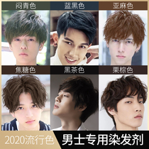 Hair dye Mens special white color pure self-dyed black tea color at home 2021 popular color plant hair dye cream