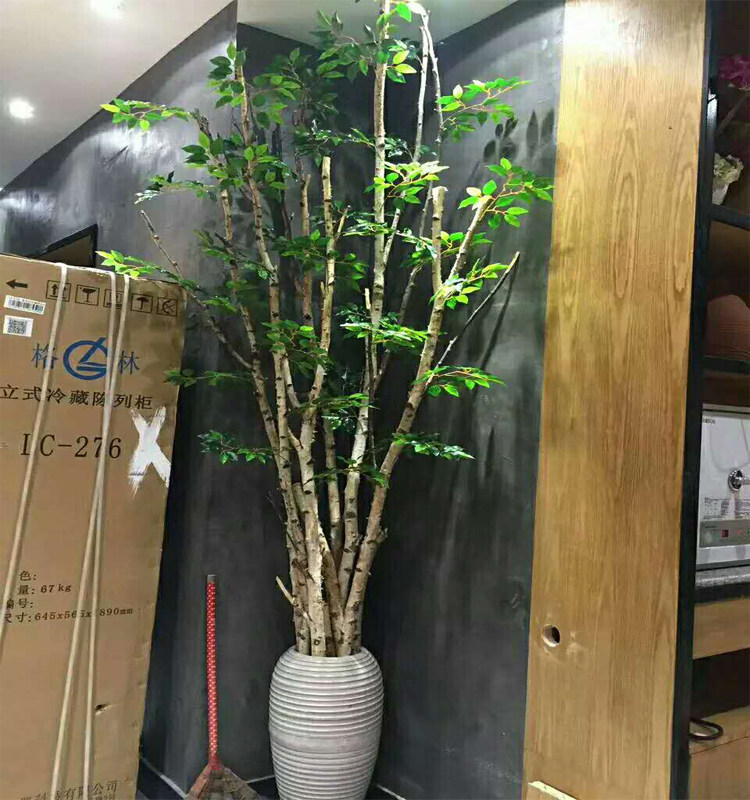 Natural birch branches wedding bar restaurant clothing store window decoration props white branches decorate tree branches