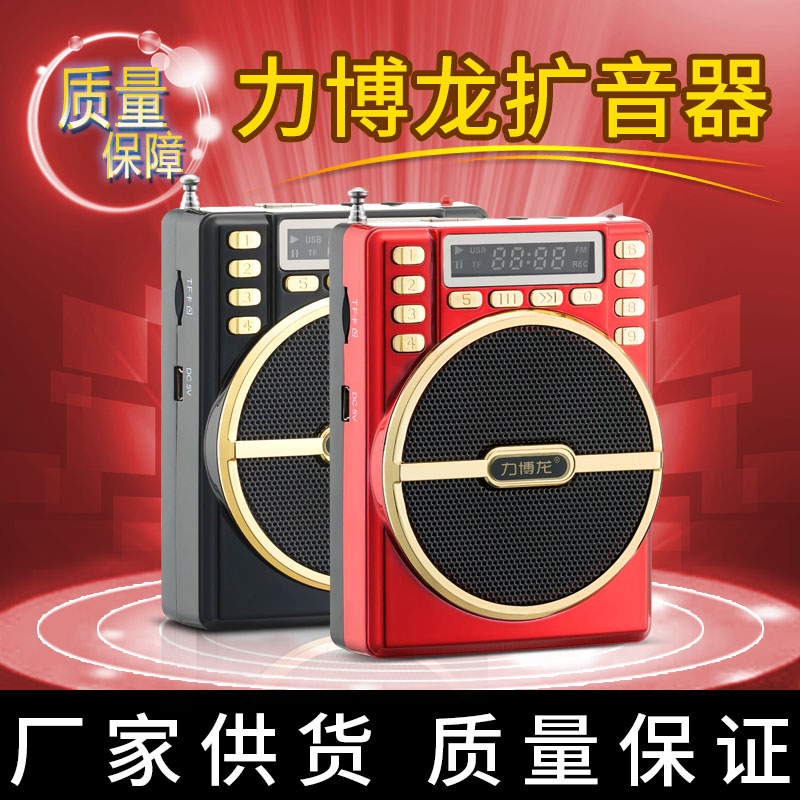 Libo Long A202 recording amplifier Teaching teacher special guide high-power speaker amplifier can be deleted