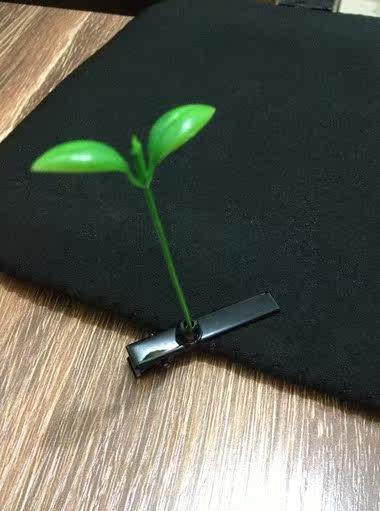 Accessoire cheveux - Ref 1205294 Image 49