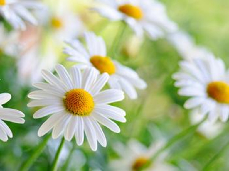 Pantalon pour garcons et filles - Ref 2059197 Image 43