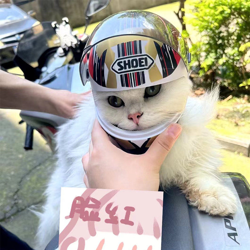 Pet Cat Special Locomotive Helmet Kitty Special Motorcycle Helmet Cat Dog Handsome Gas Locomotive Cap Safety Hat-Taobao