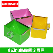 Fixed food basin pet rabbit guinea pig ChinChin bowl anti-gnawing box