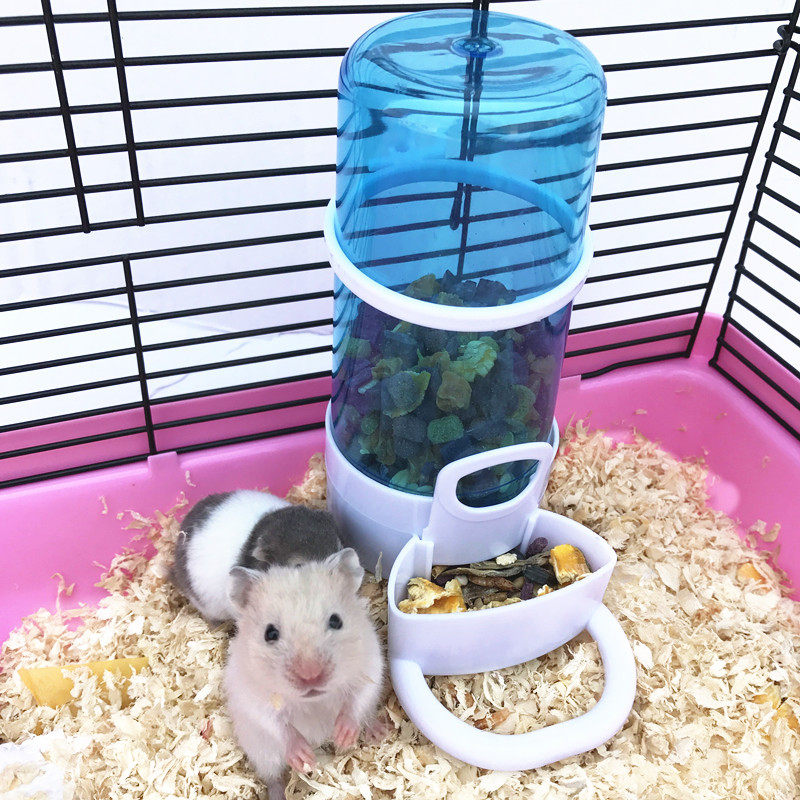 cheap hamster stuff