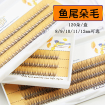 Eyelash kiss fishtail single cluster of hair 120 dovetail natural realistic girly false eyelashes self-grafting single C-shaped
