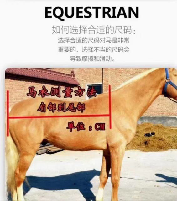 попона 清仓处理摇粒绒马衣吸汗马衣春秋款颗粒绒单层马衣 双层加厚马衣 3