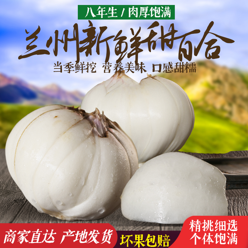 Lanzhou lily fresh lily 500g edible sweet lily Gansu specialty natural non-dry goods