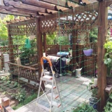 Растение лазания на виноградные лозы посадка сетка фруктов Paixiang Специальная сеть огурца бобового рога виноградный сад сад