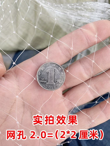 Анти -бирд -садовый фруктовый дерево вишневый дерево виноградный виноградный зеленый сара