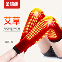 Knee pads to keep warm old cold legs wormwood self-heating long paint joint knees cold and windproof to keep warm men and women in winter