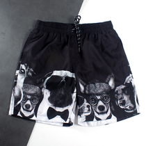 Water park lined with beach swimming trunks mens Tide brand quick-drying loose big pants seaside holiday quartet anti-embarrassment