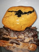 Yellow wax stone pasta stone stone stone stone ornaments