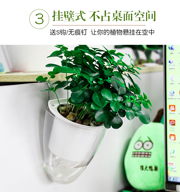 Sáng tạo treo tường thủy canh lười hoa chậu trang trí tường cửa hàng quần áo trang trí tường treo tường nước trồng màu xanh lá cây bình - Vase / Bồn hoa & Kệ giỏ hoa treo ban công