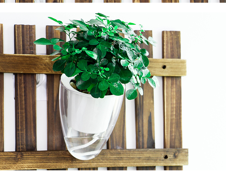 Sáng tạo treo tường thủy canh lười hoa chậu trang trí tường cửa hàng quần áo trang trí tường treo tường nước trồng màu xanh lá cây bình - Vase / Bồn hoa & Kệ giỏ hoa treo ban công