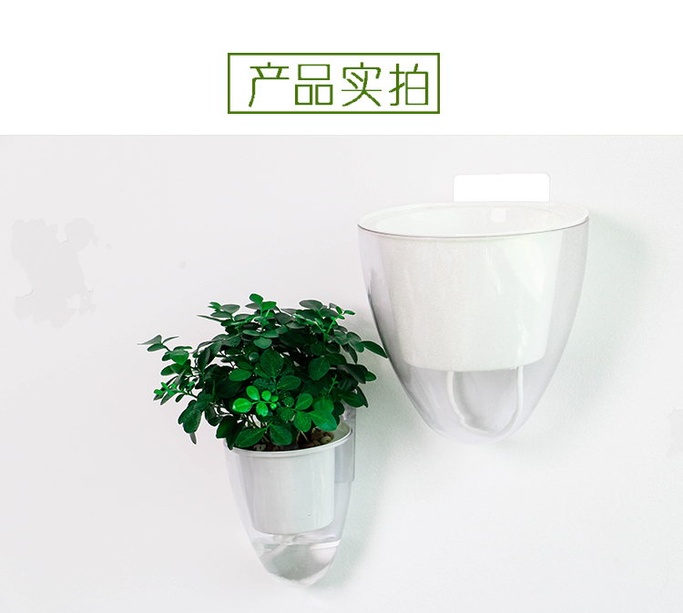 Sáng tạo treo tường thủy canh lười hoa chậu trang trí tường cửa hàng quần áo trang trí tường treo tường nước trồng màu xanh lá cây bình - Vase / Bồn hoa & Kệ giỏ hoa treo ban công