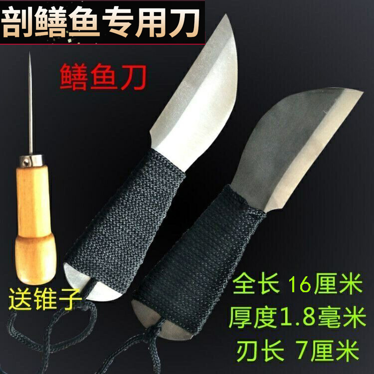 Eel knife to kill eel knife to cut eel knife to kill eel special blade steel eel knife to cut eel tool to kill fish knife