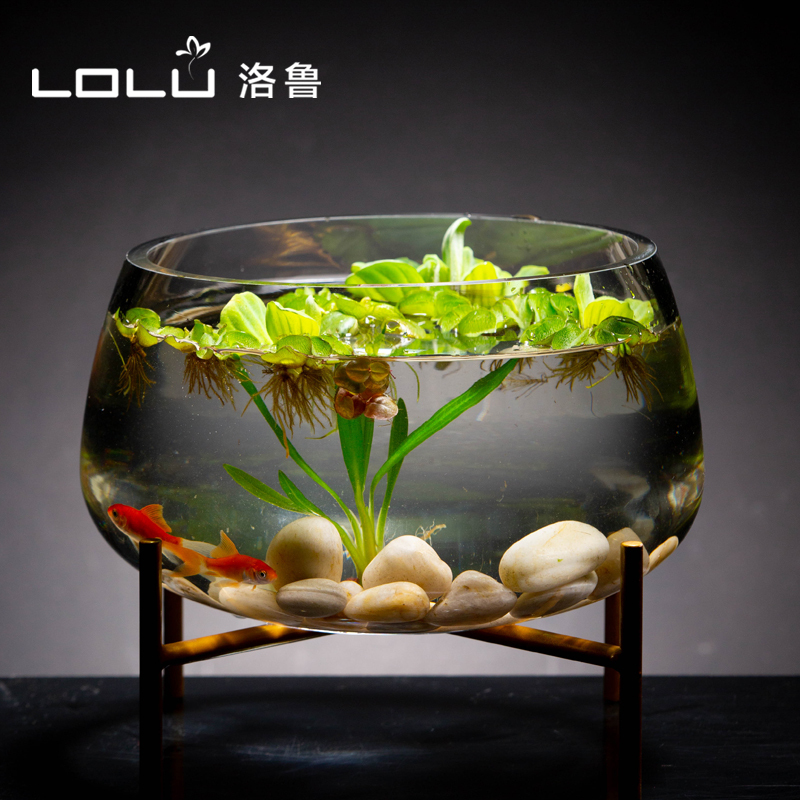 Transparent Glass Vase, Money Plant Hydroponic Plant Pot, Large Size Green Plant Glass Container, Living Room Round Fish Tank Transparent Glass Vase, Money Plant Hydroponic Plant Pot, Large Size Green Plant Glass Container, Living Room Round Fish Tank