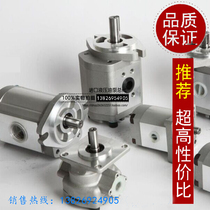 Injection molding machine vane PUMP DIE CASTING MACHINE HYDRAULIC OIL PUMP PUMP CORE PUMP GUTS PLUNGER PUMP PLUNGER CYLINDER FLANGE ACCESSORIES