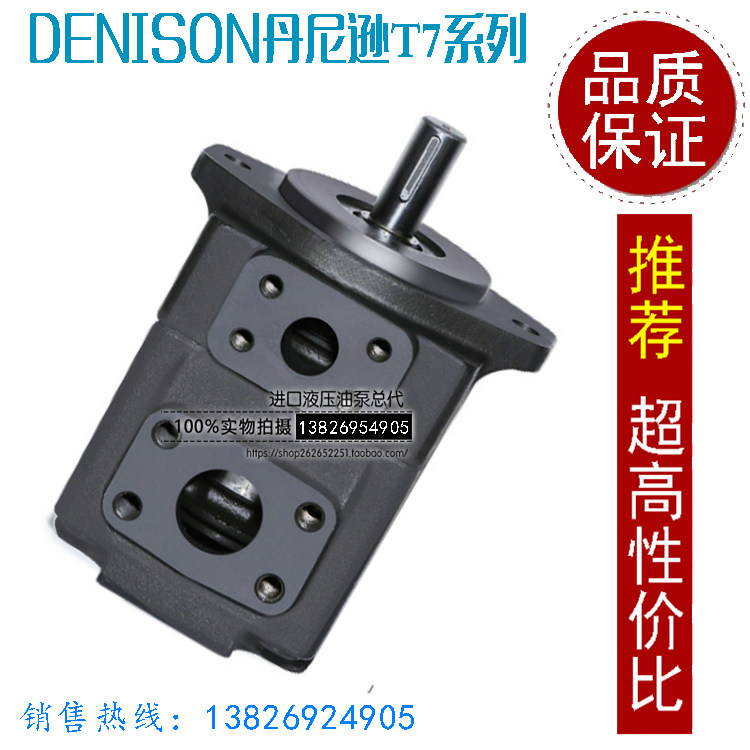 Injection molding machine vane pump T6D-024-1R00-B1 Denison casting machine low noise pump T6D-024-1R00-C1