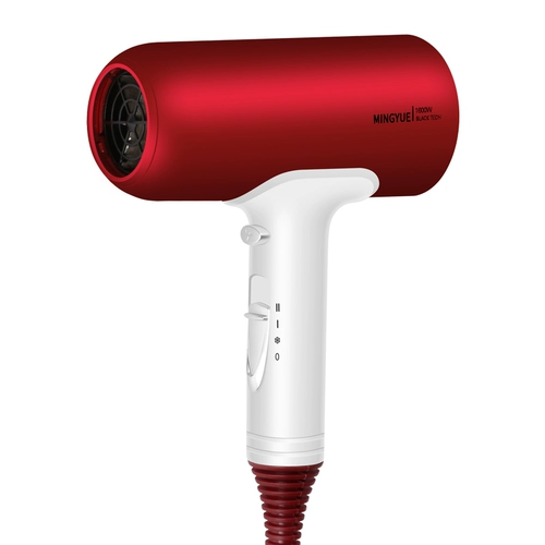 Интернет -знаменитость фен домохозяйства по уходу за волосами ионный уход за волосами. Общежитие для моделей волос в формате студентов