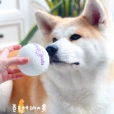 Гигви дорогой для взрывного мяча, кусающаяся собачья игрушка, молярная эластичная плавающая вода, тихая средняя большая собачья интерактивная бал тура