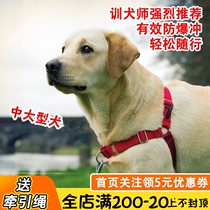  American PetSafe easywalk pet dog explosion-proof chest strap training chest and back traction rope collar