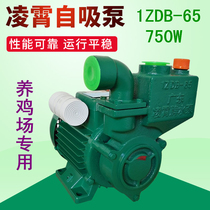 Old paragraph 750W Guangdong Lingxiao self-priming pump 1ZDB65 chicken farm farm special spray high-pressure clean water electric pump
