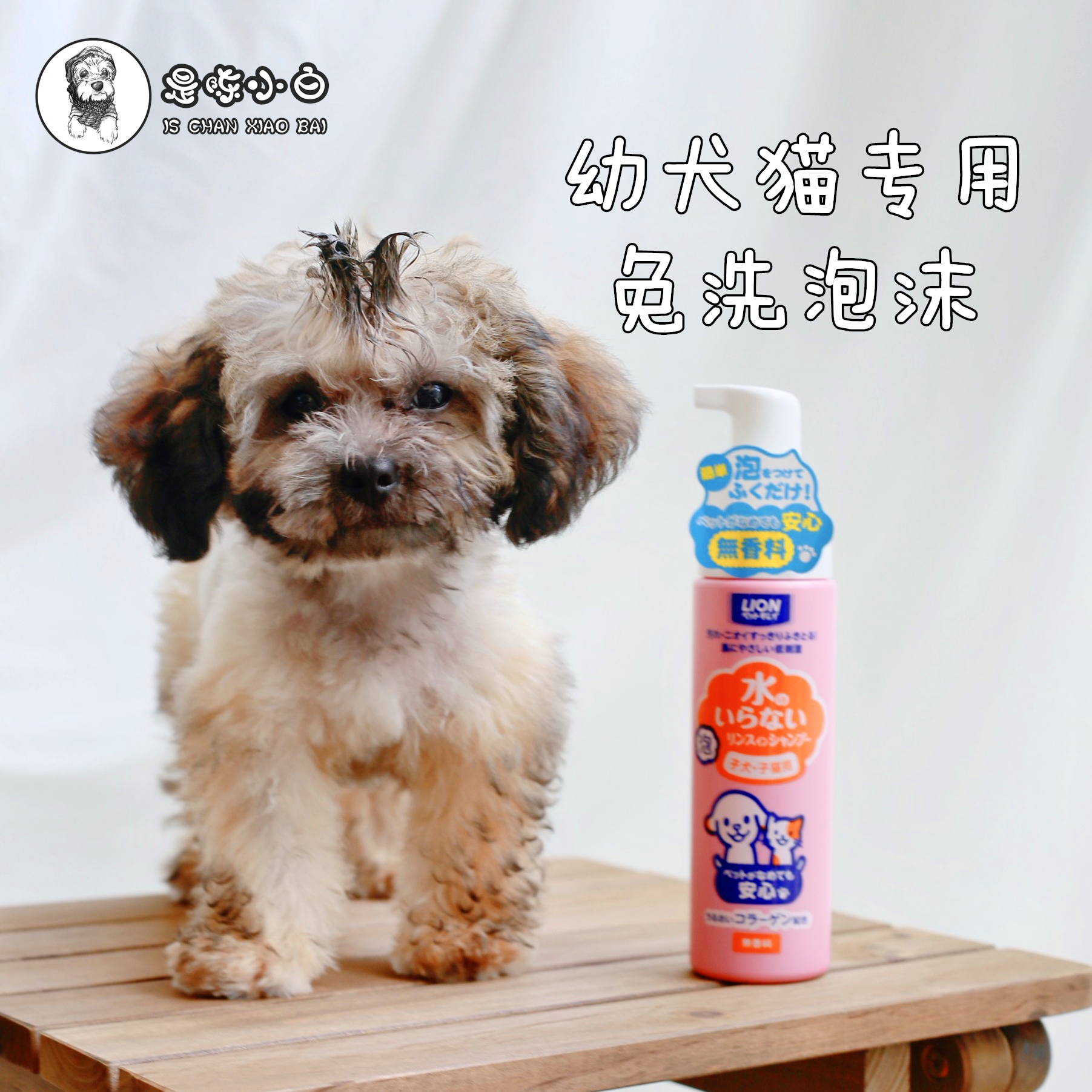 Lion king puppies and cats fragrance-free wash-free foam shampoo shower gel dry cleaning dogs and cats decontamination and deodorization 200ml