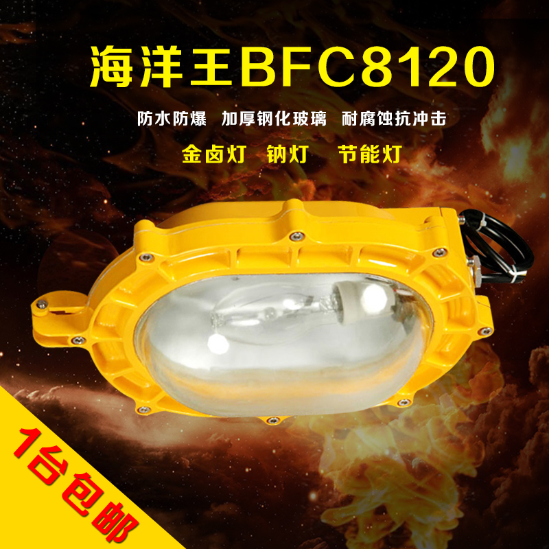 Marine king BFC8120 explosion protection energy saving energy saving gas station plant gas discharge lamp two-piece flame-proof lamp shade